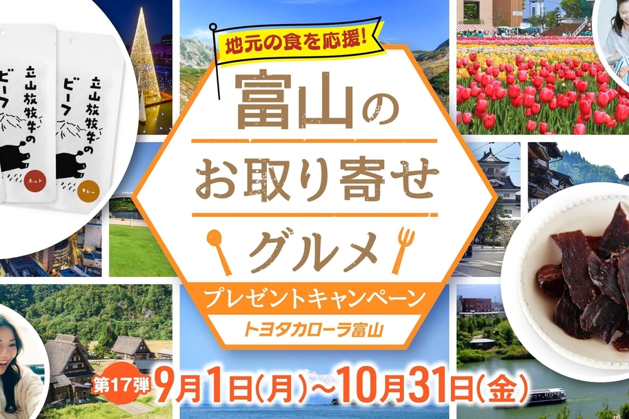 第17弾バナー_628_N