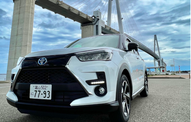 ライズmodelLMパッケージ